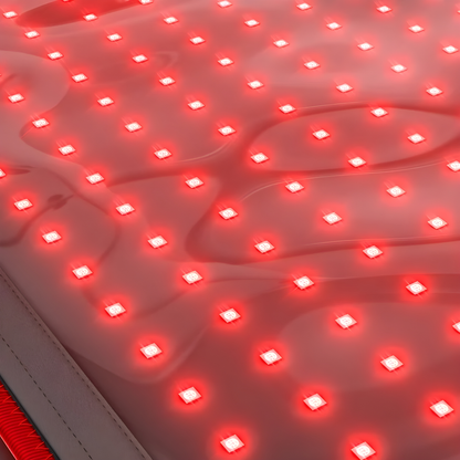 VodReach™ - Wavelength Belt